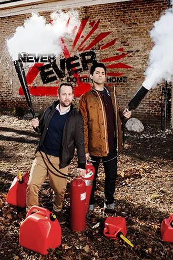 Never Ever Do This At Home (2013)