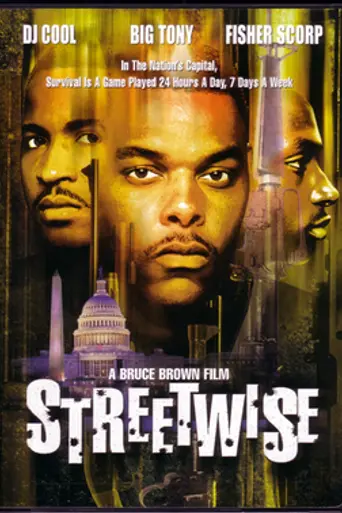Streetwise (1998)