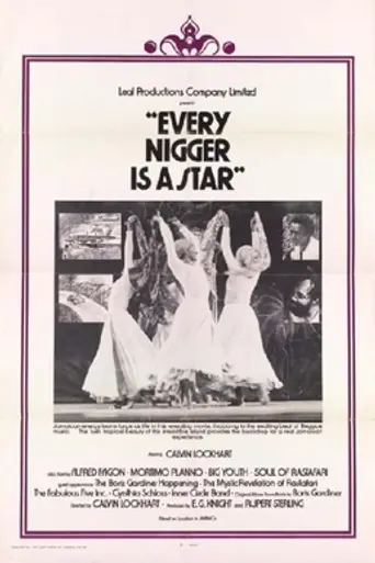 Every Nigger Is a Star (1973)