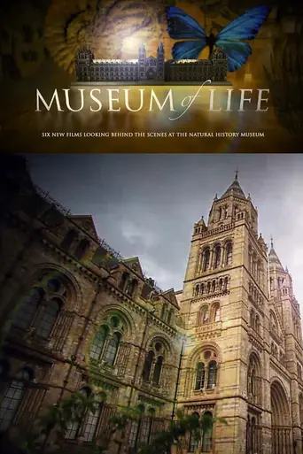 Museum of Life (2010)