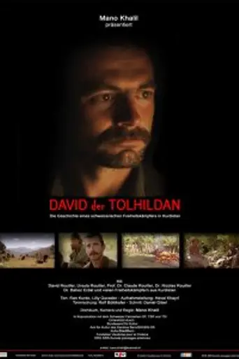 David der Tolhildan (2007)
