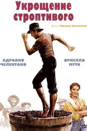 El solterón domado (1980)