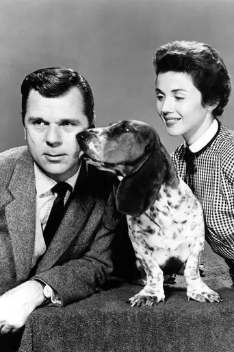 The People's Choice (1955)