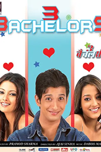 3 Bachelors (2012)