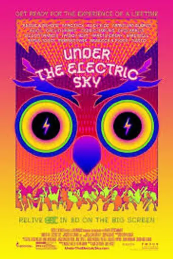 Under the Electric Sky (2014)