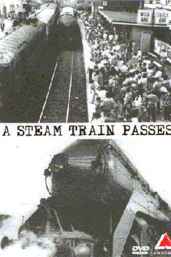 A Steam Train Passes (1974)