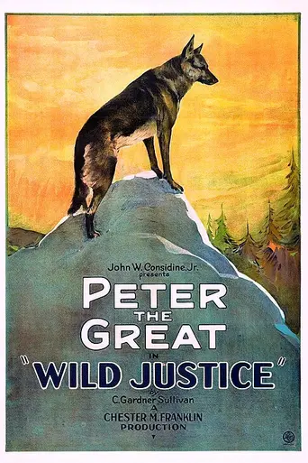 Wild Justice (1925)