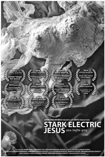 Stark Electric Jesus (2014)