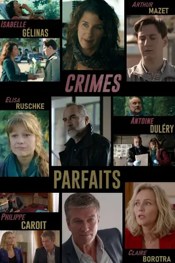 Crimes parfaits (2017)