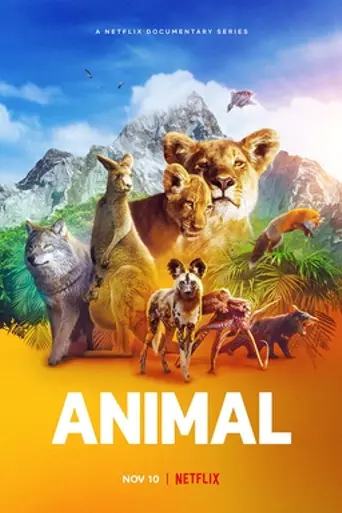 Animal — 1 сезон