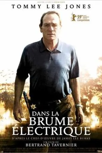 В электрическом тумане (2009)