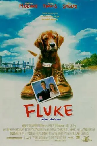 Флюк (1995)