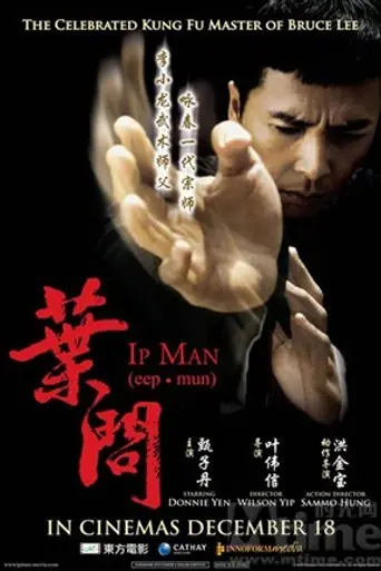 Ип Ман (2008)