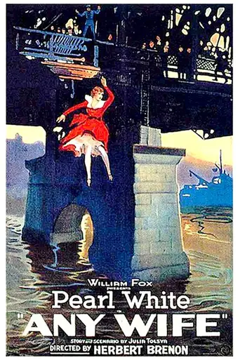 Any Wife (1922)