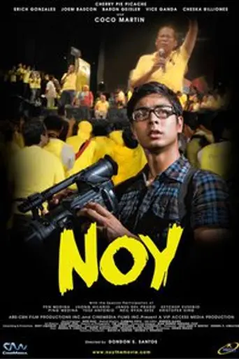 Noy (2010)