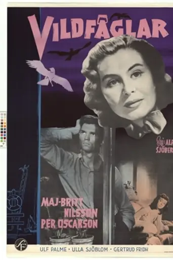 Wild Birds (1955)