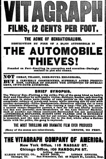 The Automobile Thieves (1906)