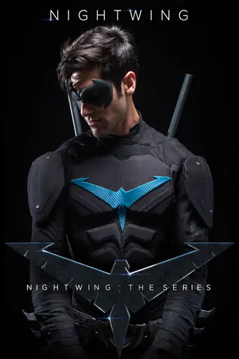 Nightwing: The Series (2014)
