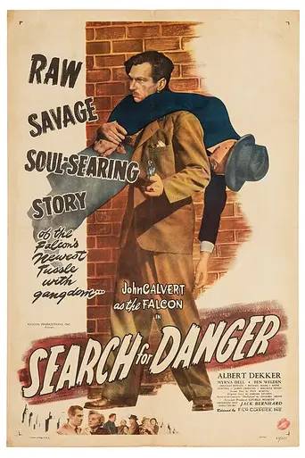 Поиски опасности (1949)