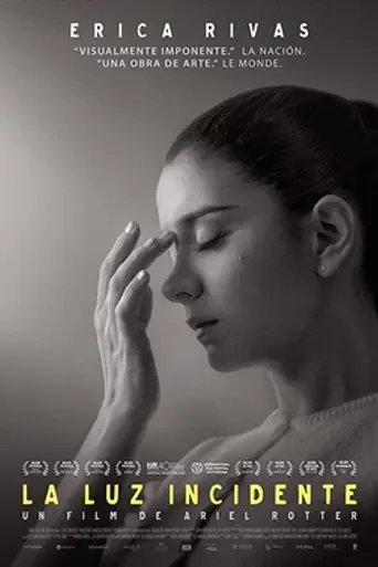 Incident Light (2015)