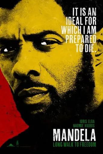 Долгий путь к свободе (2013)