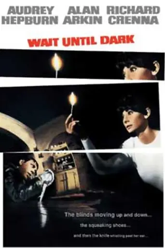 Дождись темноты (1967)