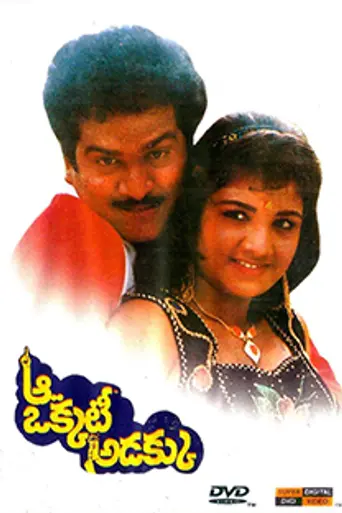 Aa Okkati Adakku (1992)
