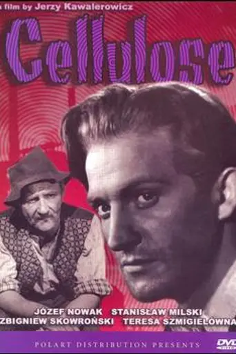 Celulosa (1954)
