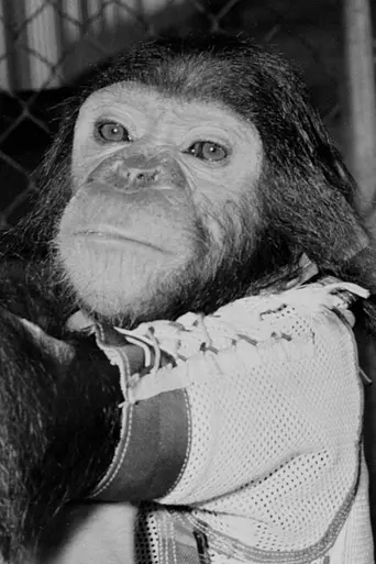 One Small Step: The Story of the Space Chimps (2008)