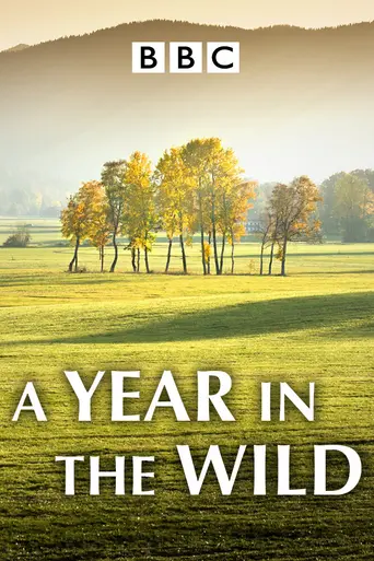 A Year in the Wild (2012)