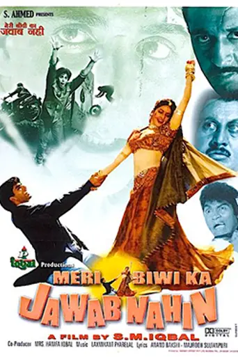 Meri Biwi Ka Jawaab Nahin (2004)