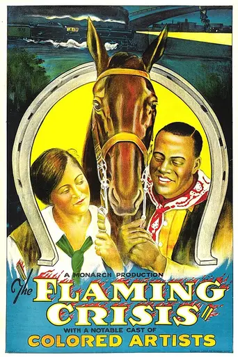 The Flaming Crisis (1924)