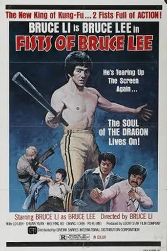 Fists of Bruce Lee (1978)