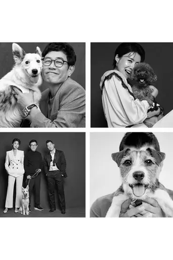 Dogs Are Incredible (2019)