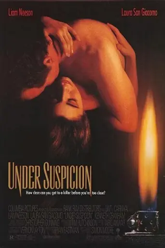 Под подозрением (1991)
