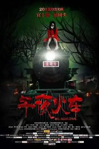 Midnight Train (2013)