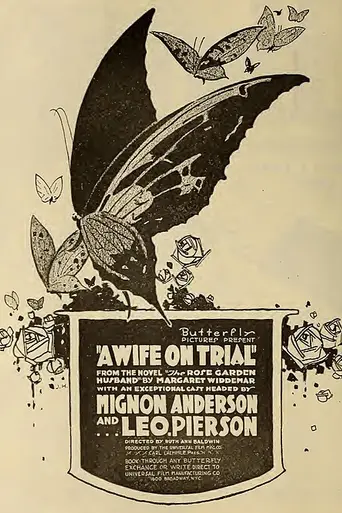 A Wife on Trial (1917)
