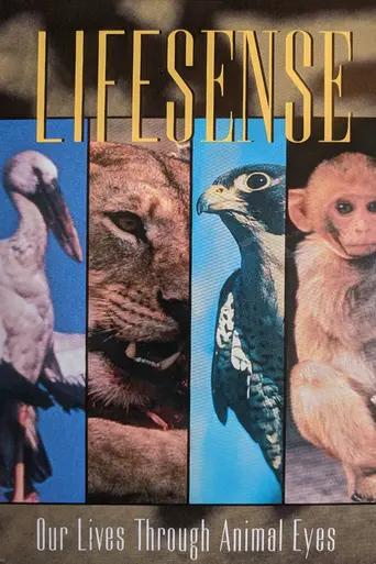 Lifesense (1991)