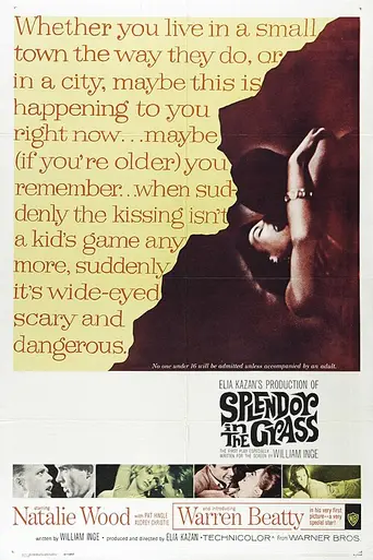 Splendor in the Grass (1961)