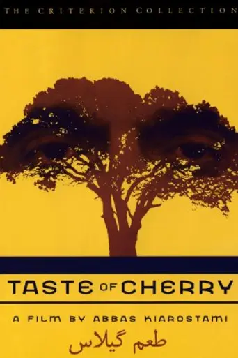 El sabor de las cerezas (1997)