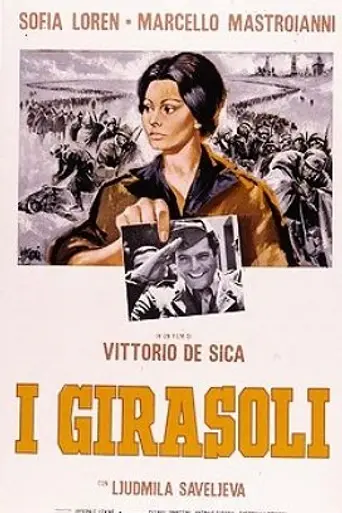 Подсолнухи (1970)