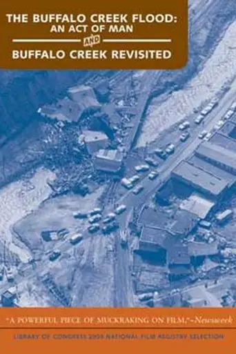 The Buffalo Creek Flood: An Act of Man (1975)