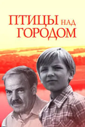 Birds over the City (1974)