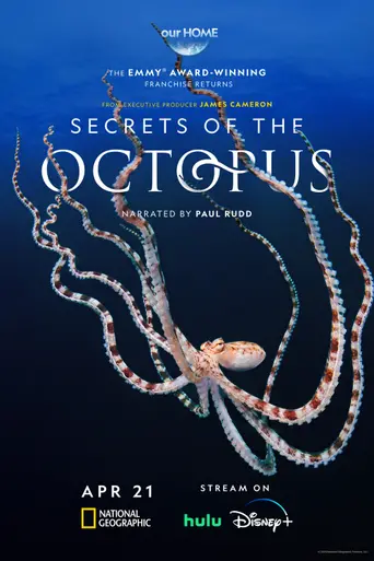 Secrets of the Octopus (2024)