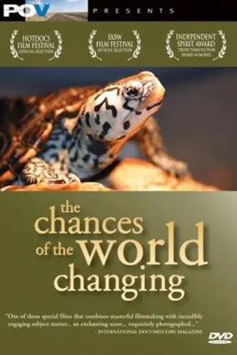 The Chances of the World Changing (2006)