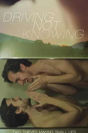 Driving Not Knowing (2015)