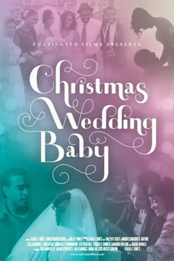 Christmas Wedding Baby (2014)