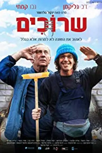 Laces (2018)