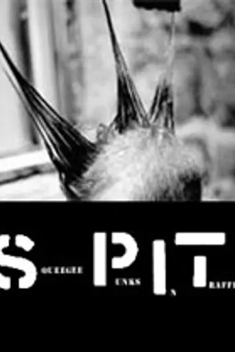 S.P.I.T.: Squeegee Punks in Traffic (2001)
