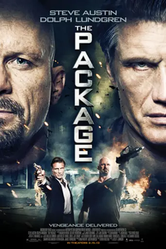 The Package (2013)